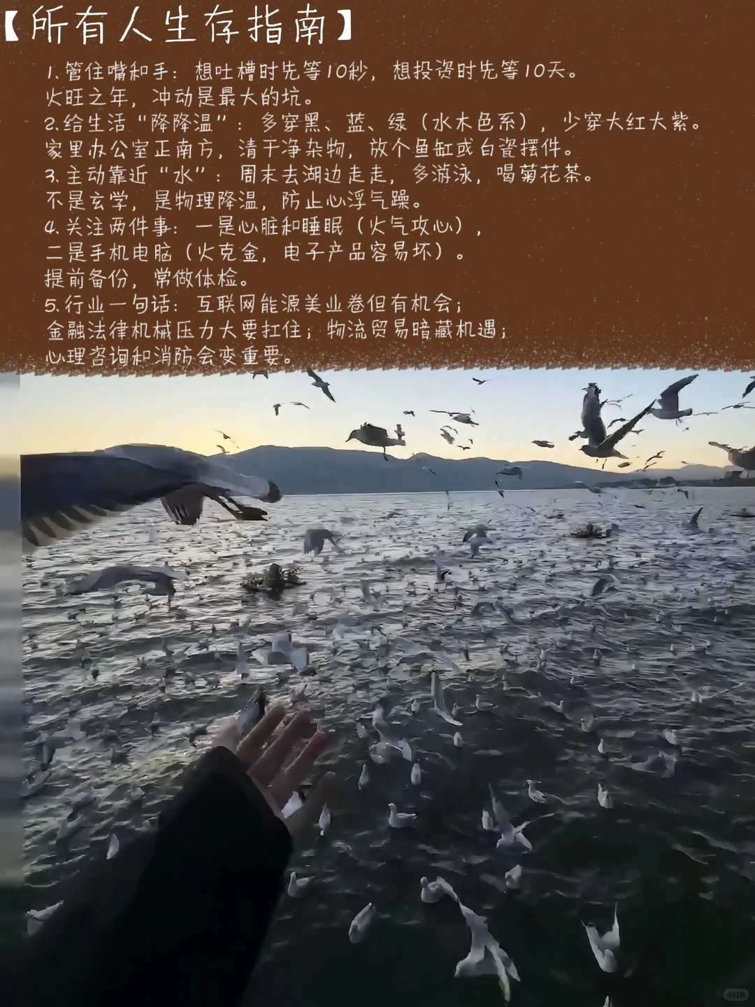 2026丙午火年:在旺盛能量中修一颗清凉心