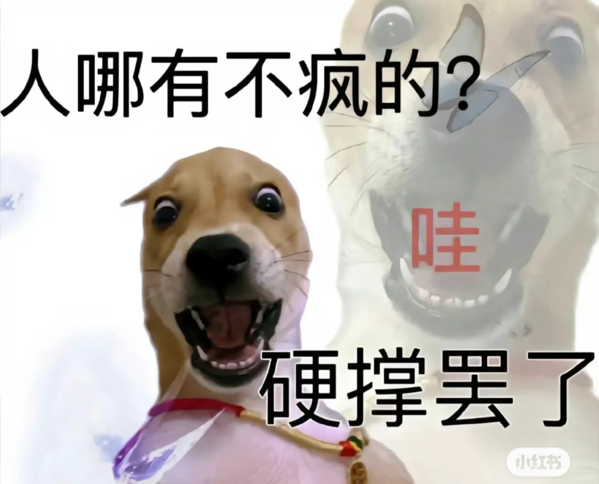 评估行业快完蛋了？？？