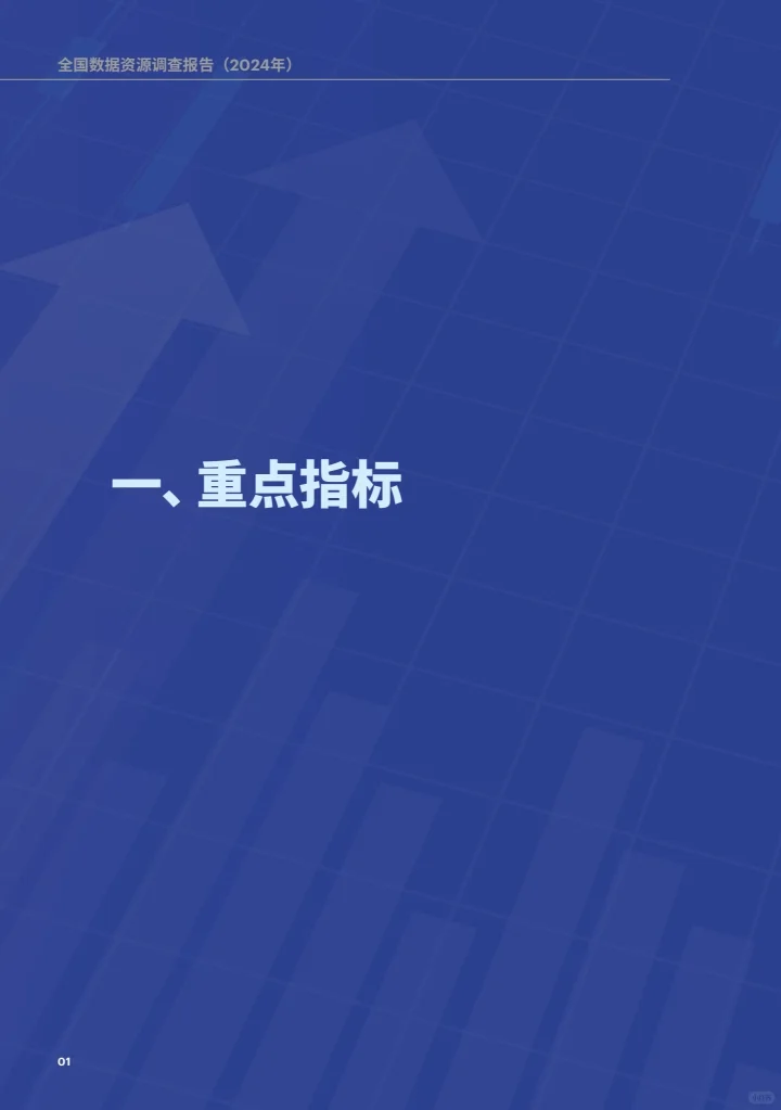 全国数据资源调查报告（2024年）