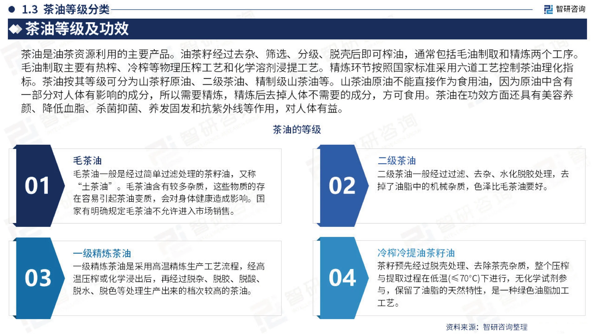 2023中国茶油产业现状,山茶油发展研究报告