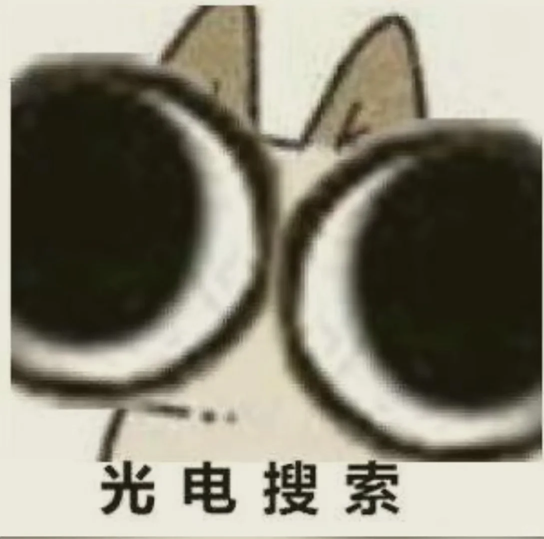 求行研搭子
