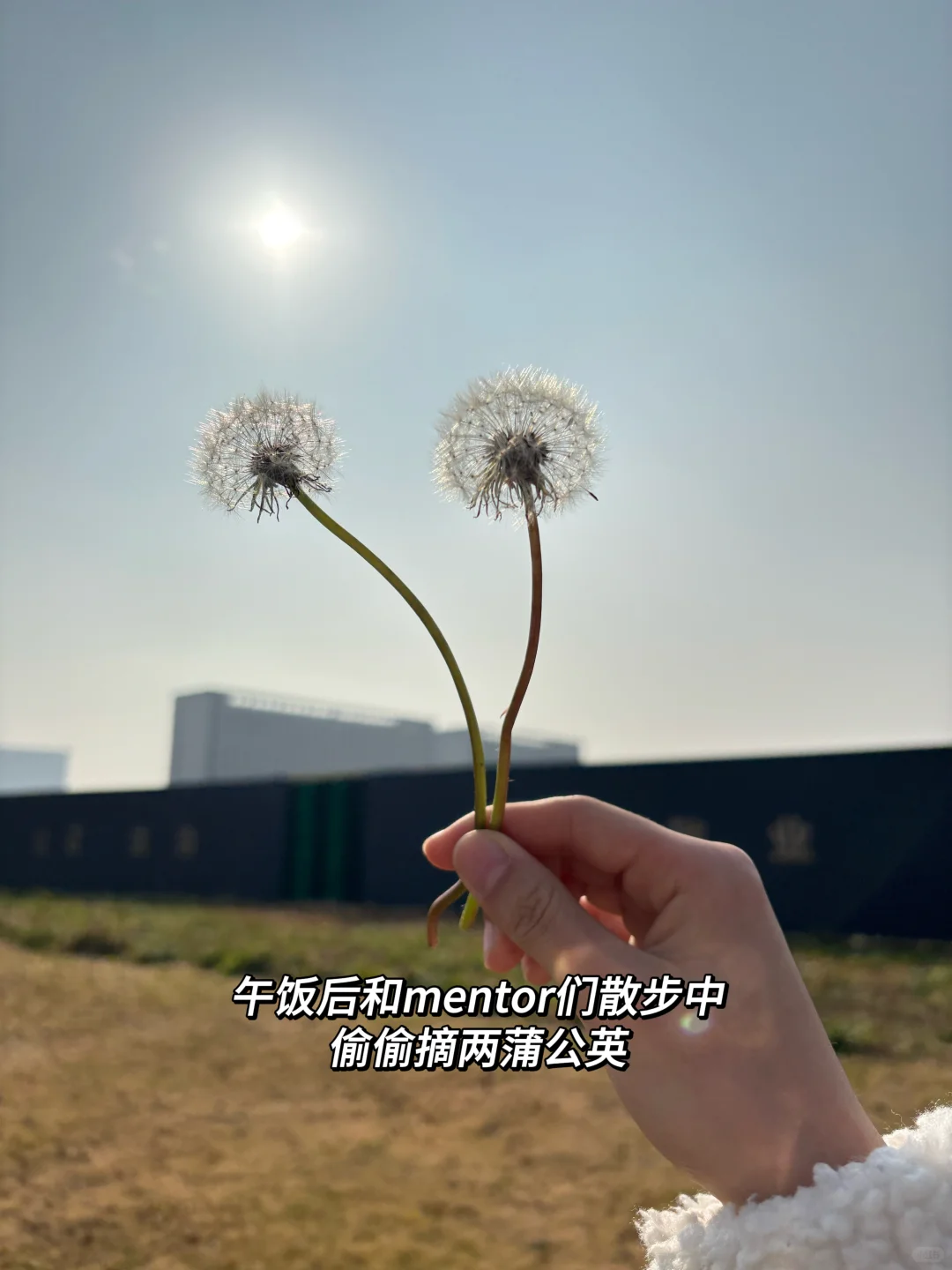 金专研0|投行实习小记01