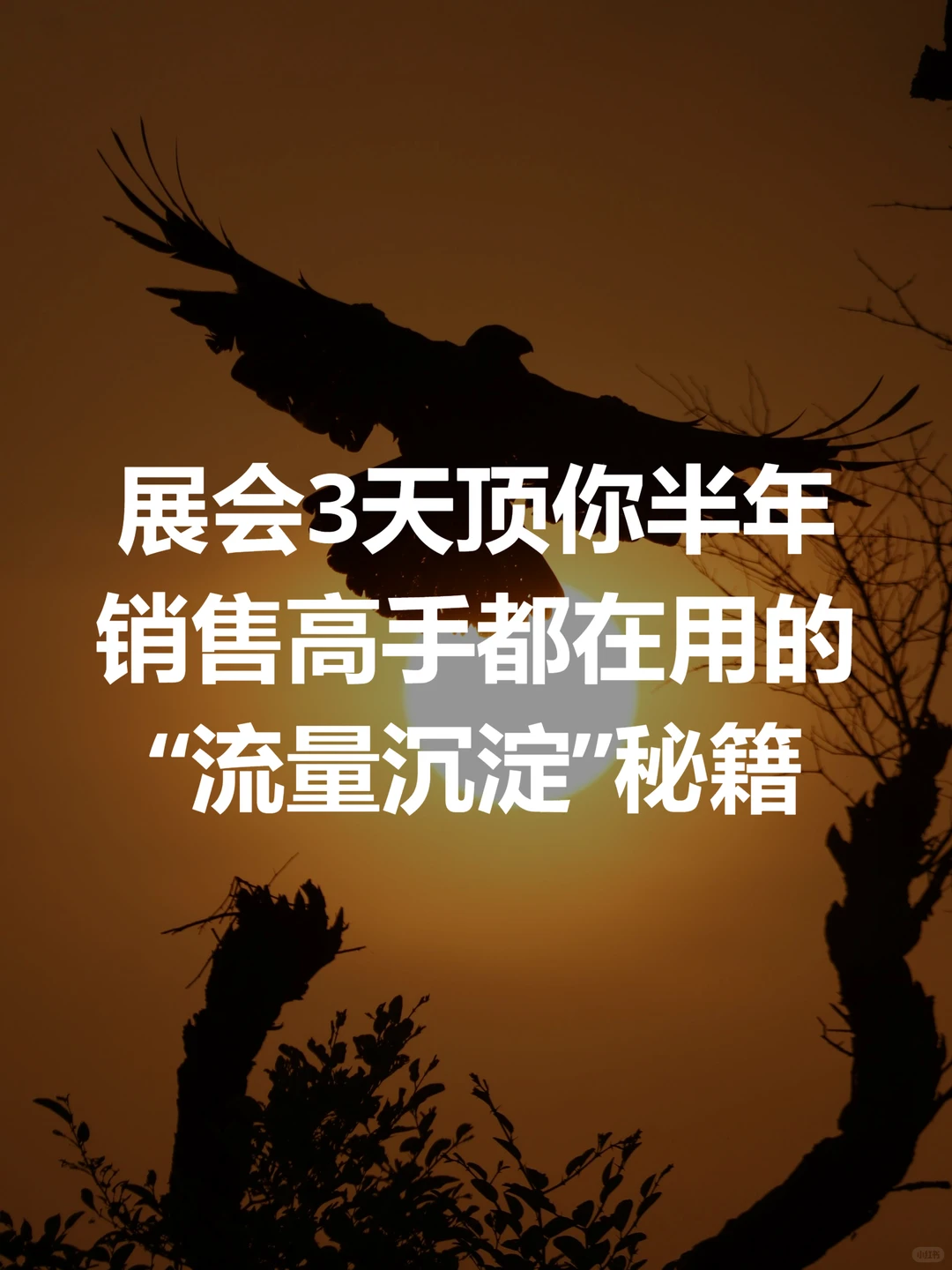 展会3天顶半年:高手的“流量沉淀”秘籍
