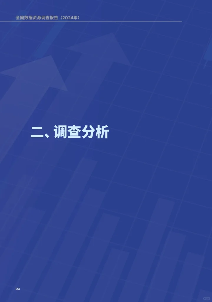 全国数据资源调查报告（2024年）