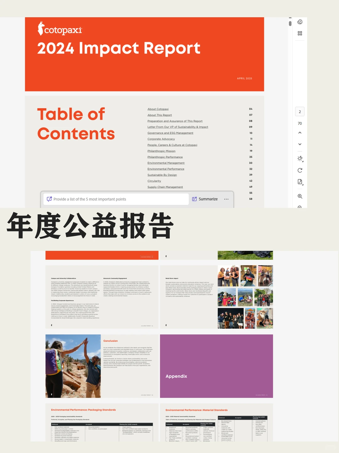 Cotopaxi独立站设计分析
