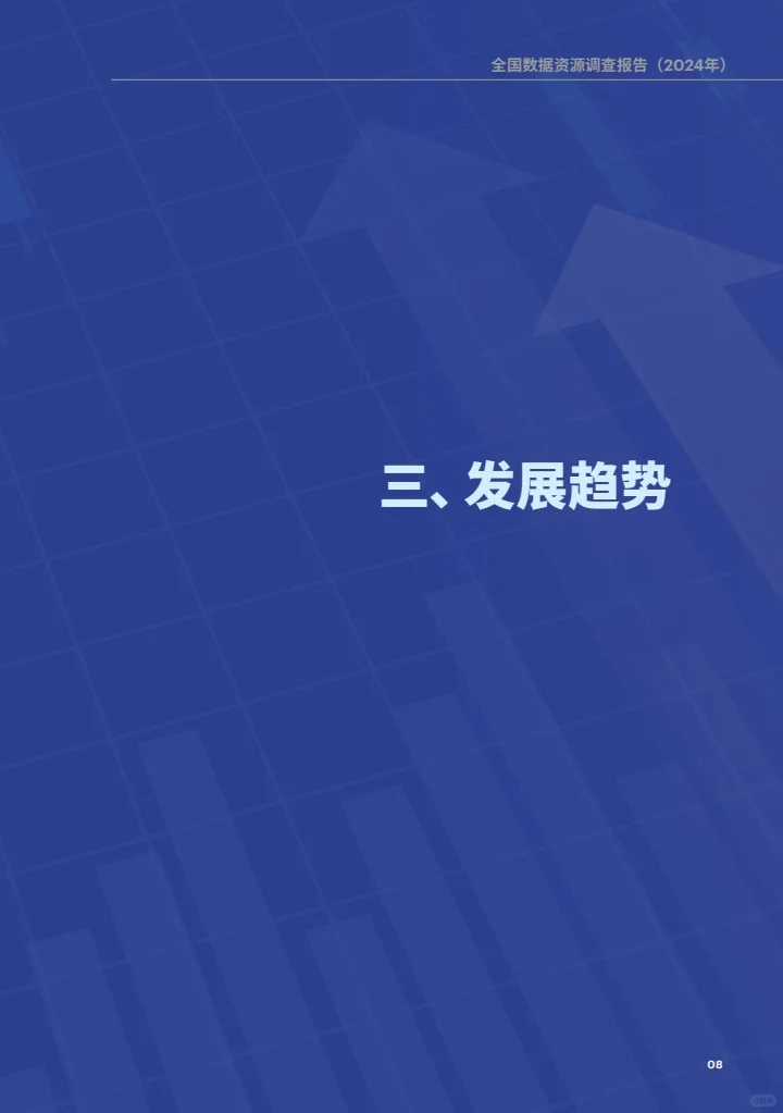 全国数据资源调查报告（2024年）