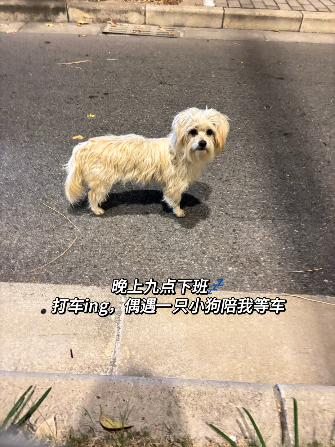 金专研0|投行实习小记01