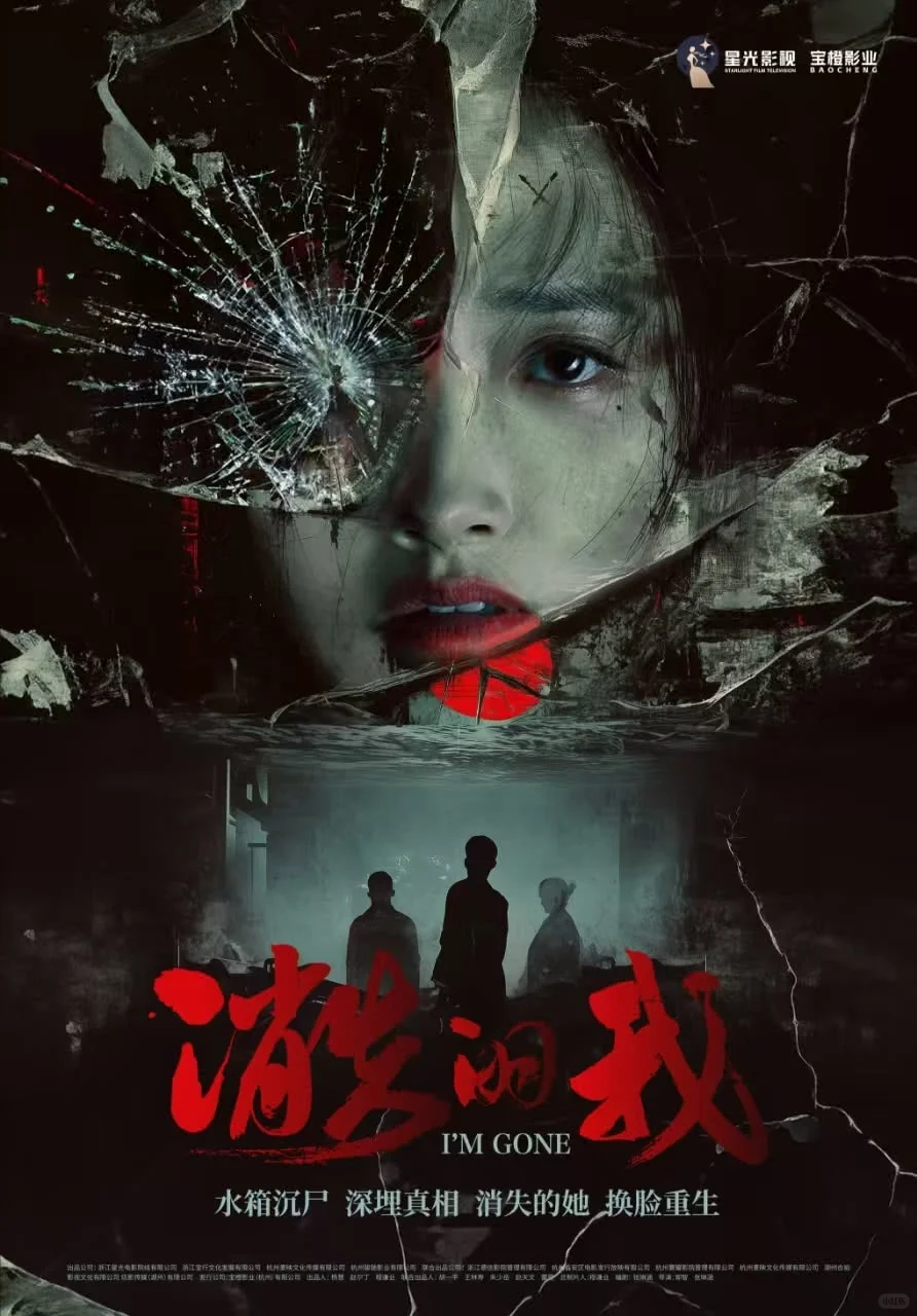 《消失的我》影片投资分析报告