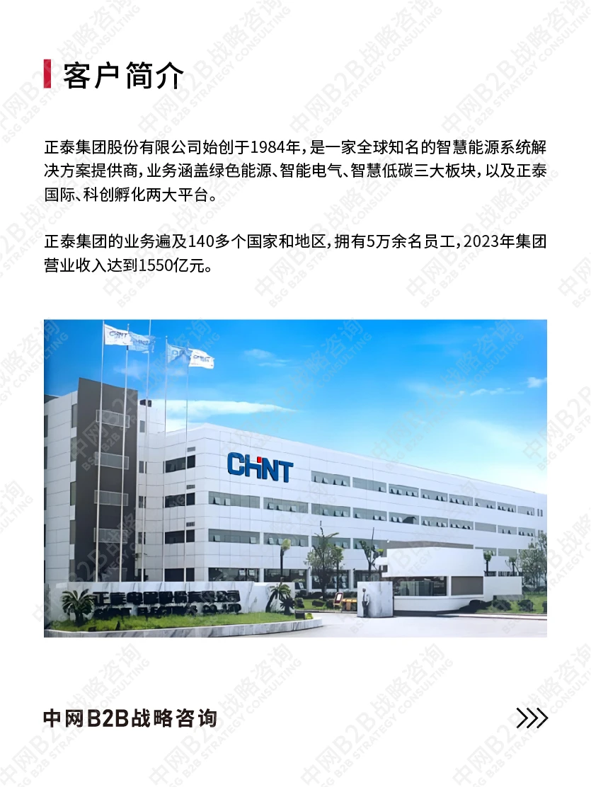 中网B2B战略咨询案例拆解:正泰集团
