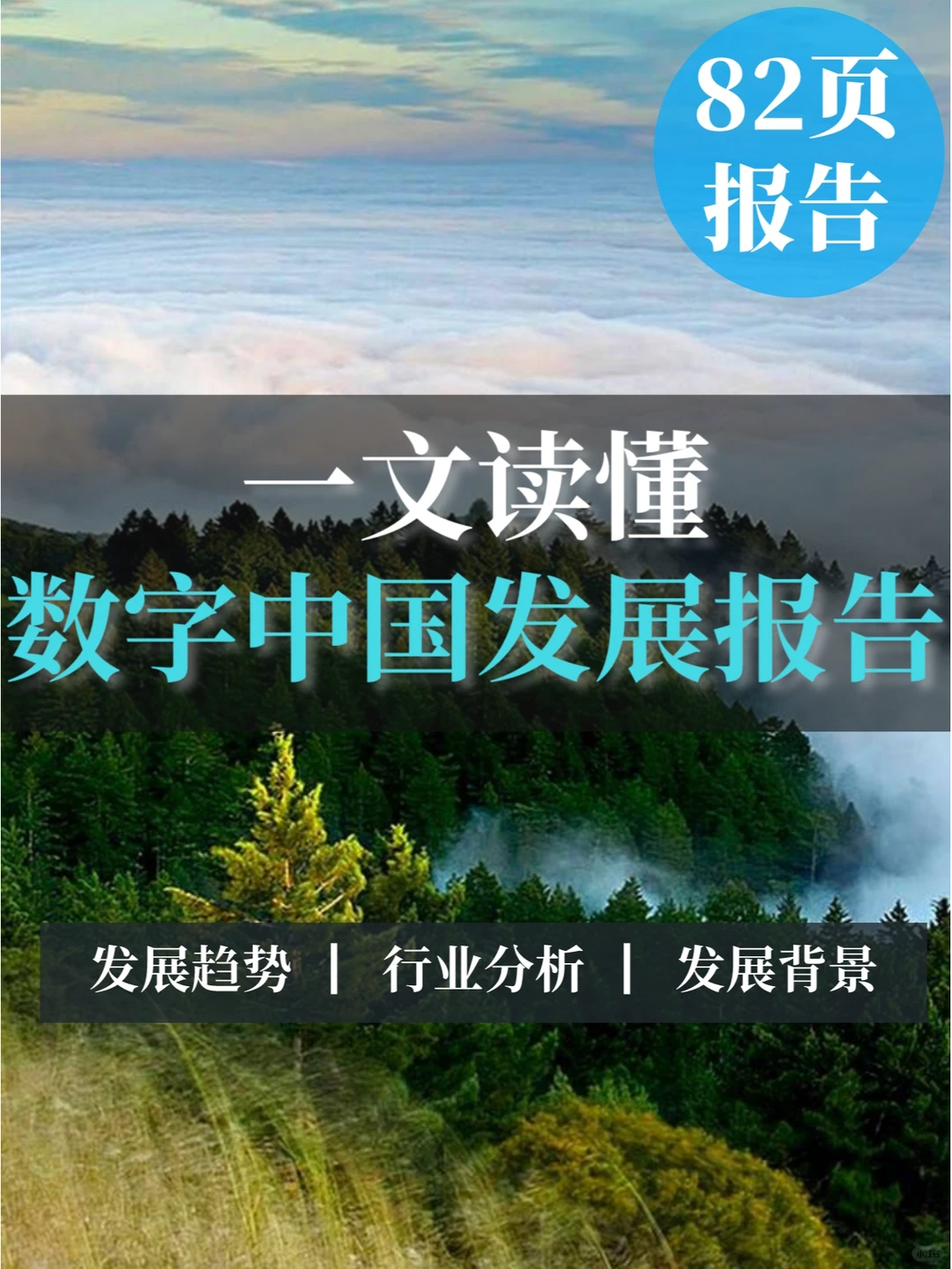 82页报告▏一文读懂数字中国发展报告
