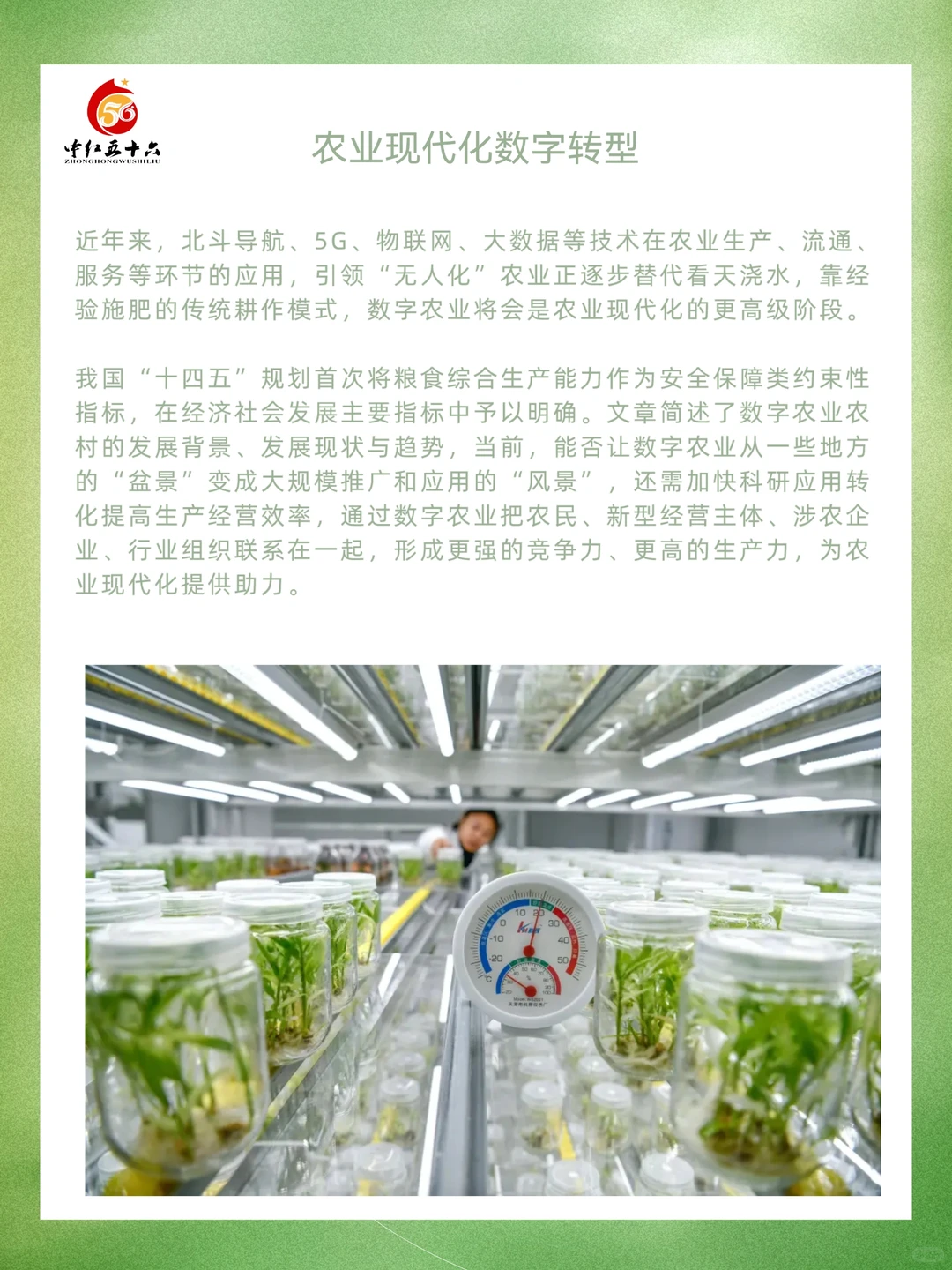 农业现代化数字转型