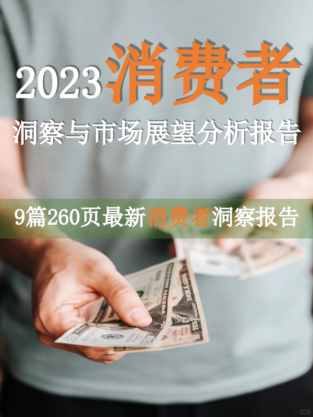2023消费者洞察分析报告