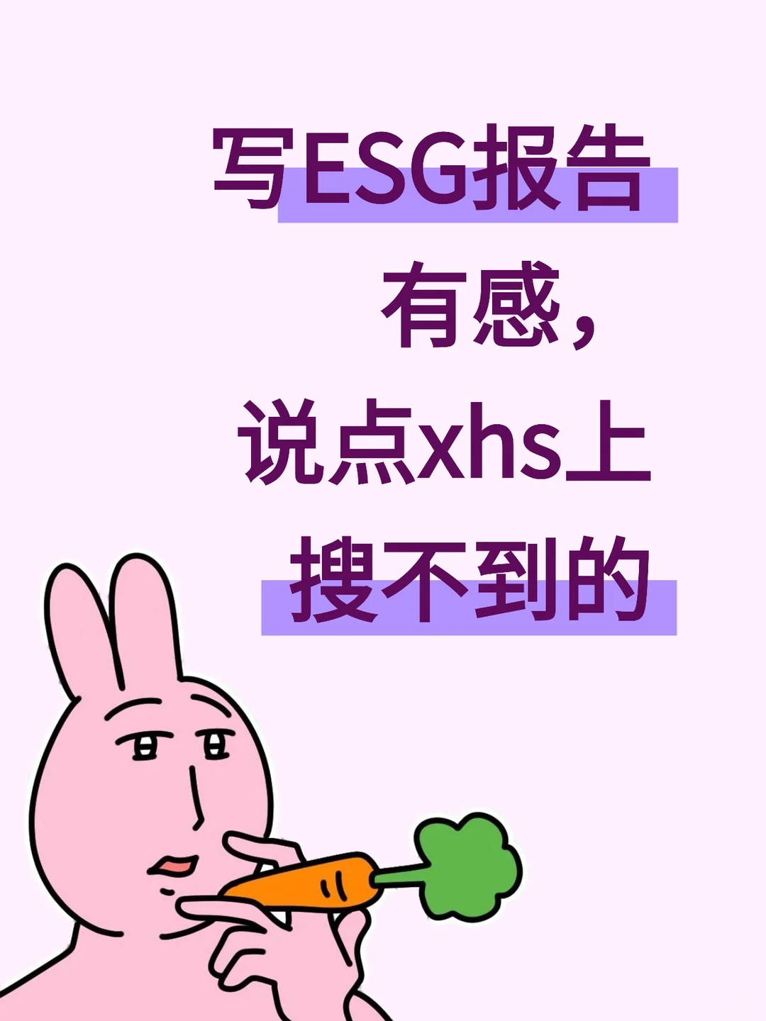 写ESG报告有感，说点xhs上搜不到的