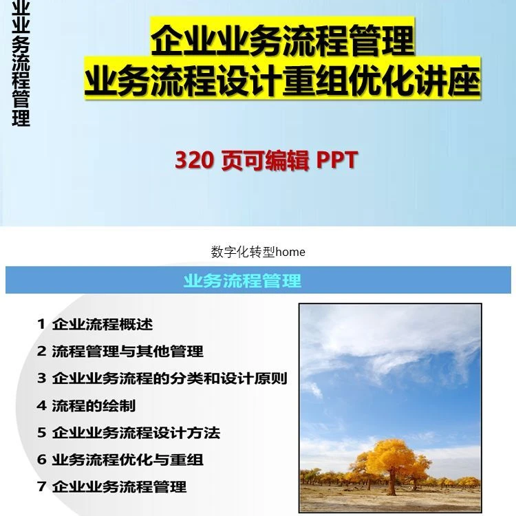 320页可编辑PPT企业业务流程管理咨询业务流