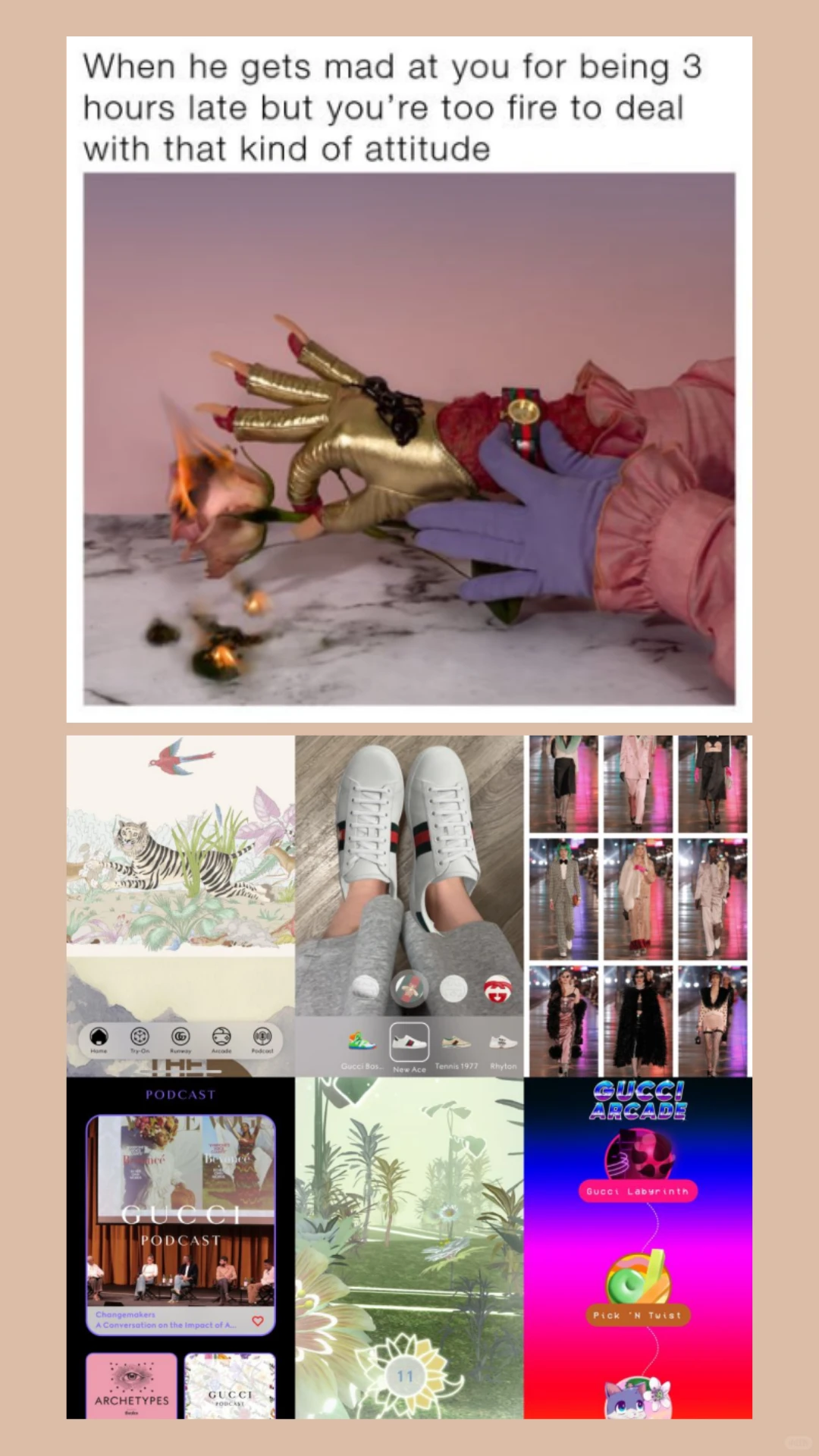 自写品牌传播策划案分享|Gucci为例