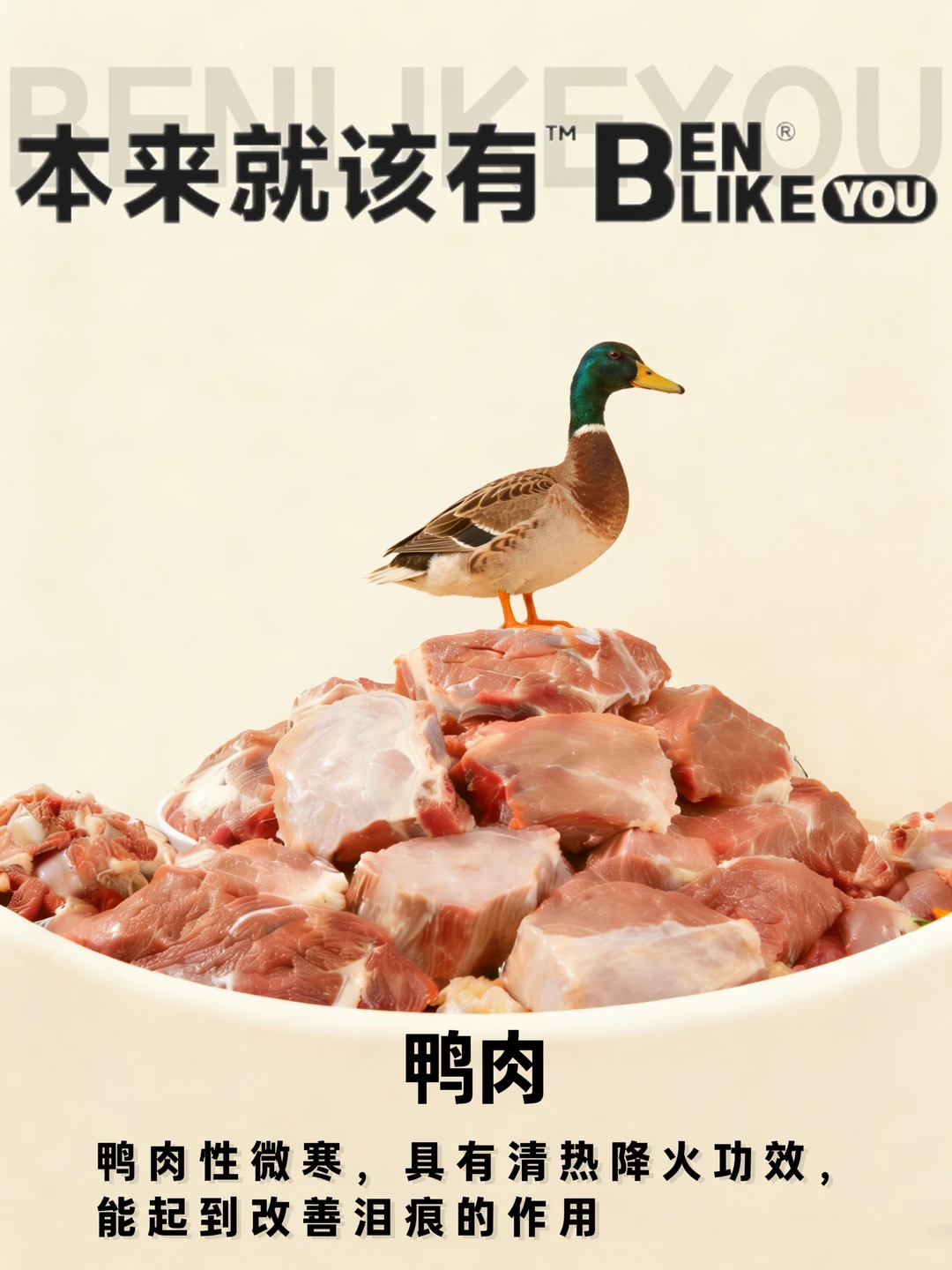 泪痕管控?清热降火?选这款犬粮就对啦!