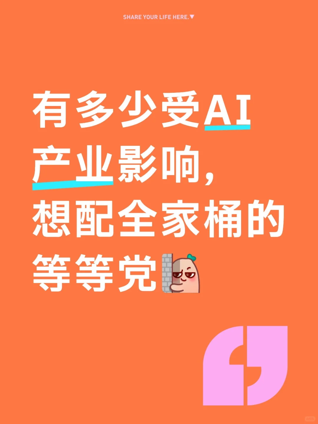 内存固态为什么大涨?