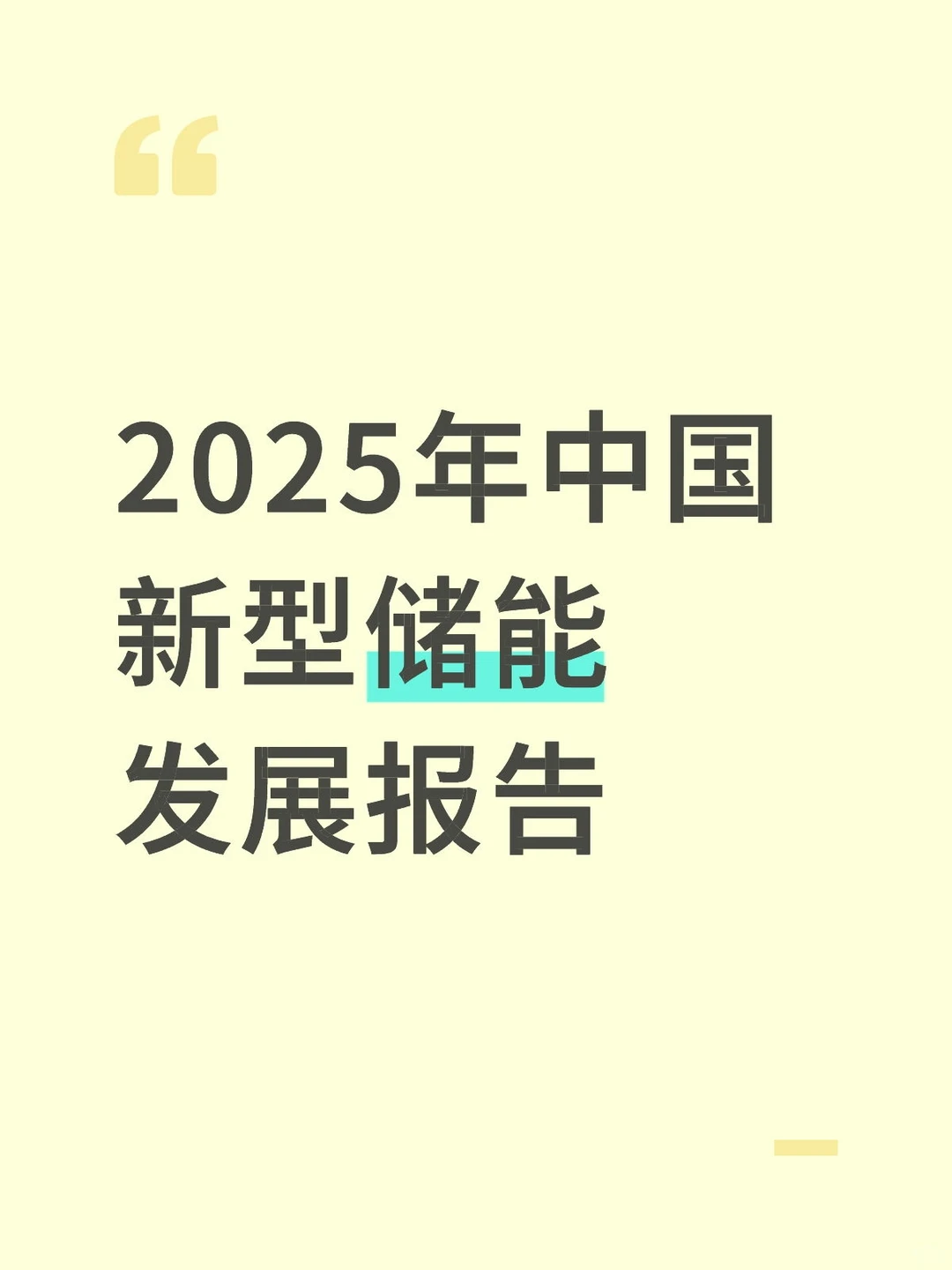 2025年中国新型储能发展报告