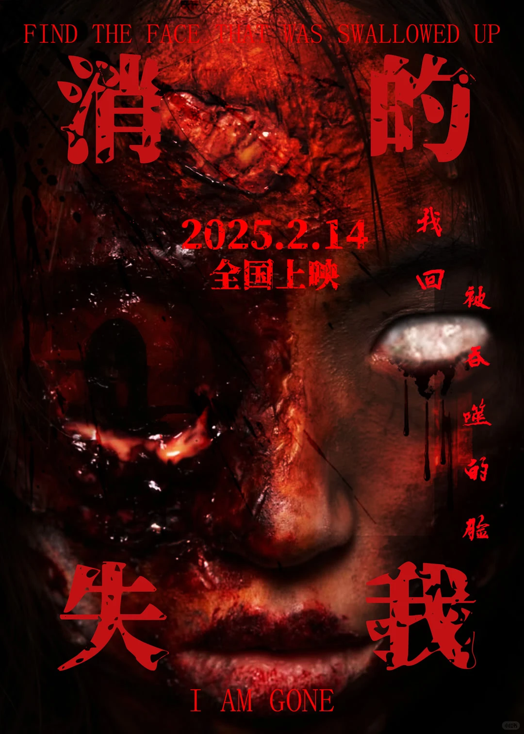 《消失的我》影片投资分析报告