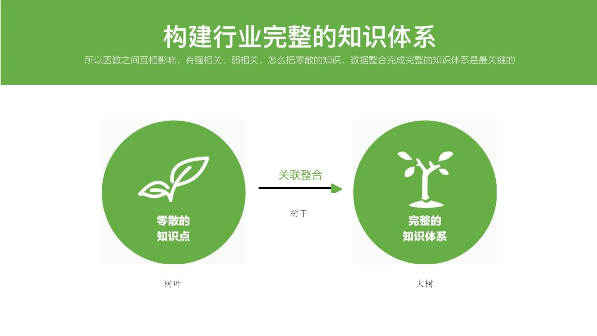 ?《2025品牌调研策略通案》内容概要
