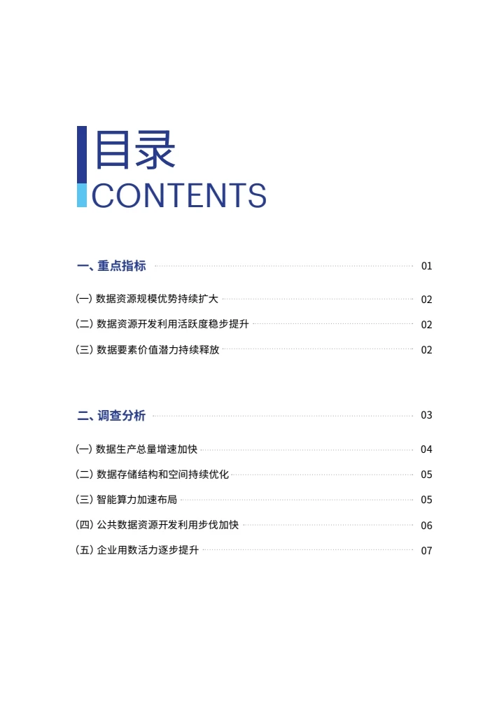 全国数据资源调查报告（2024年）