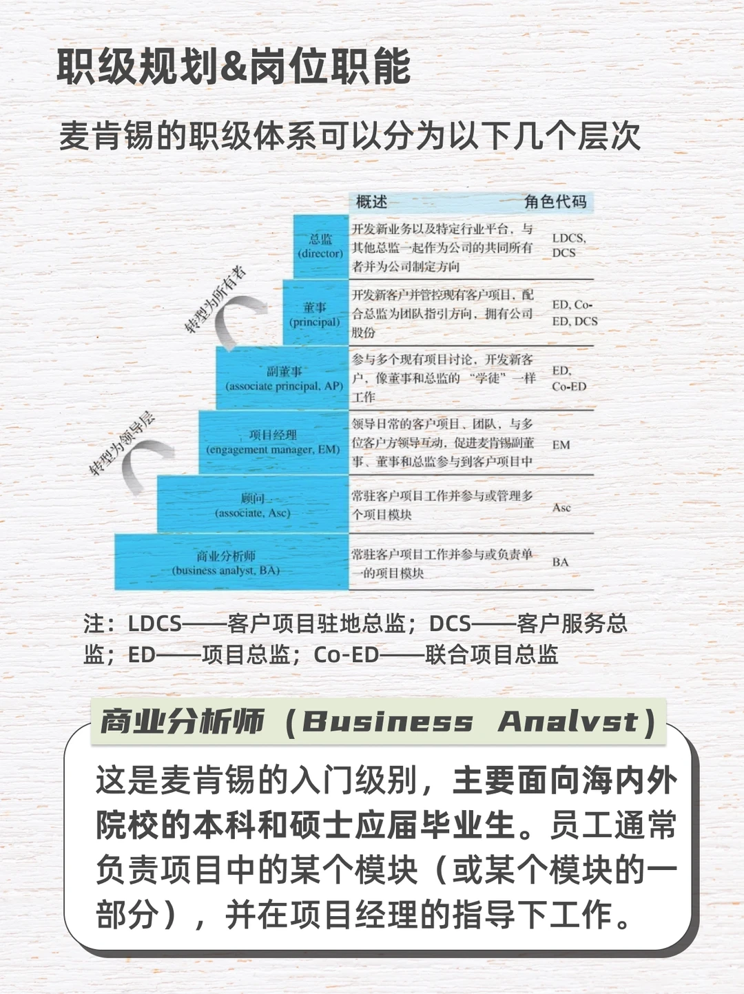 ?️麦肯锡|全球最大的战略咨询公司