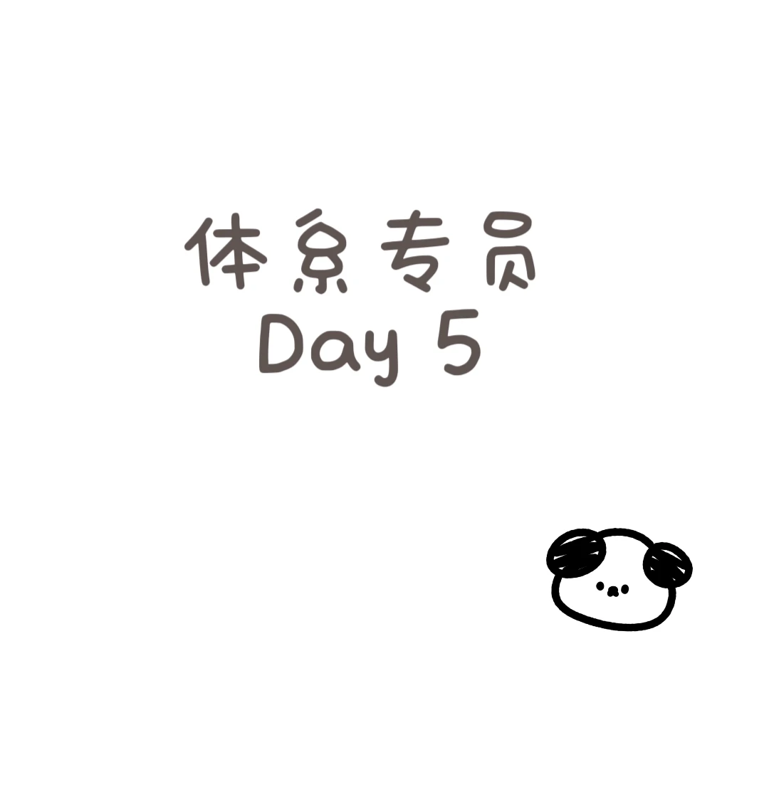 作为体系专员的一天
