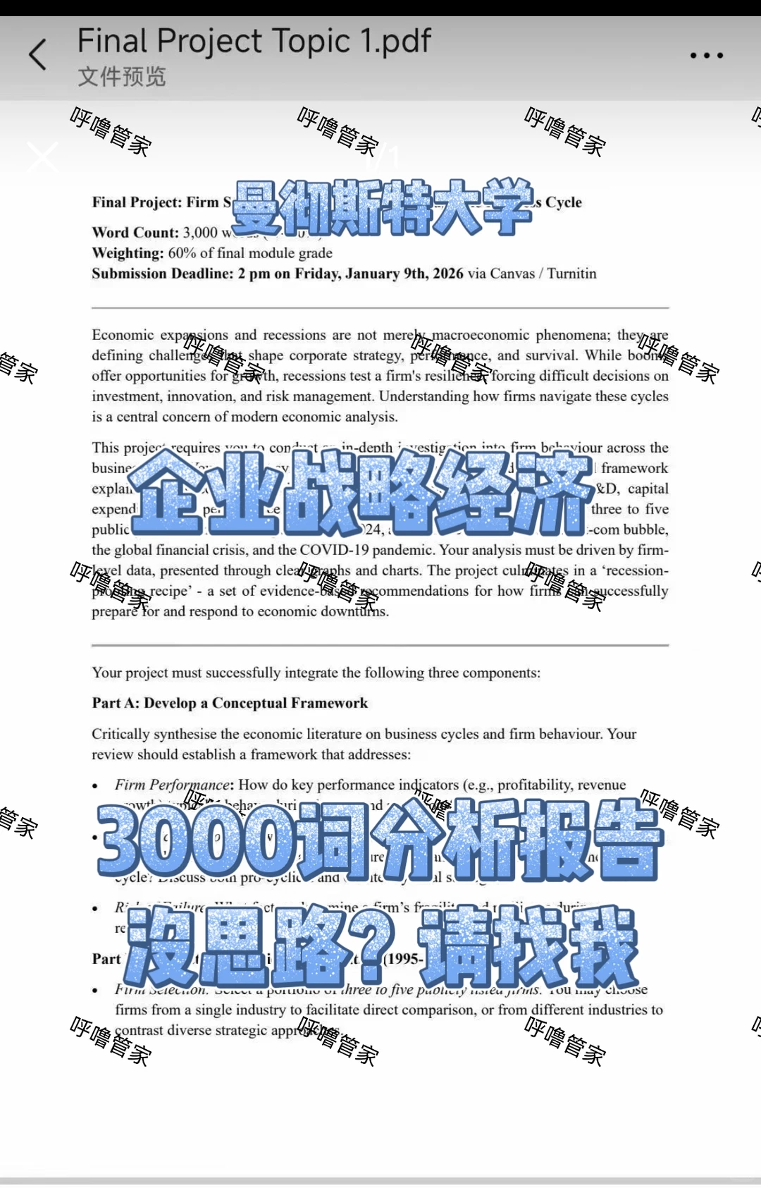 曼彻斯特 企业战略经济 3000词报告你会了吗