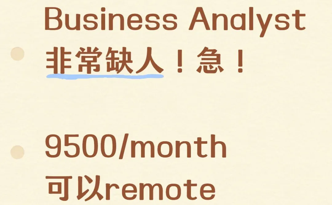 Business Analyst有人来嘛?$9500/month