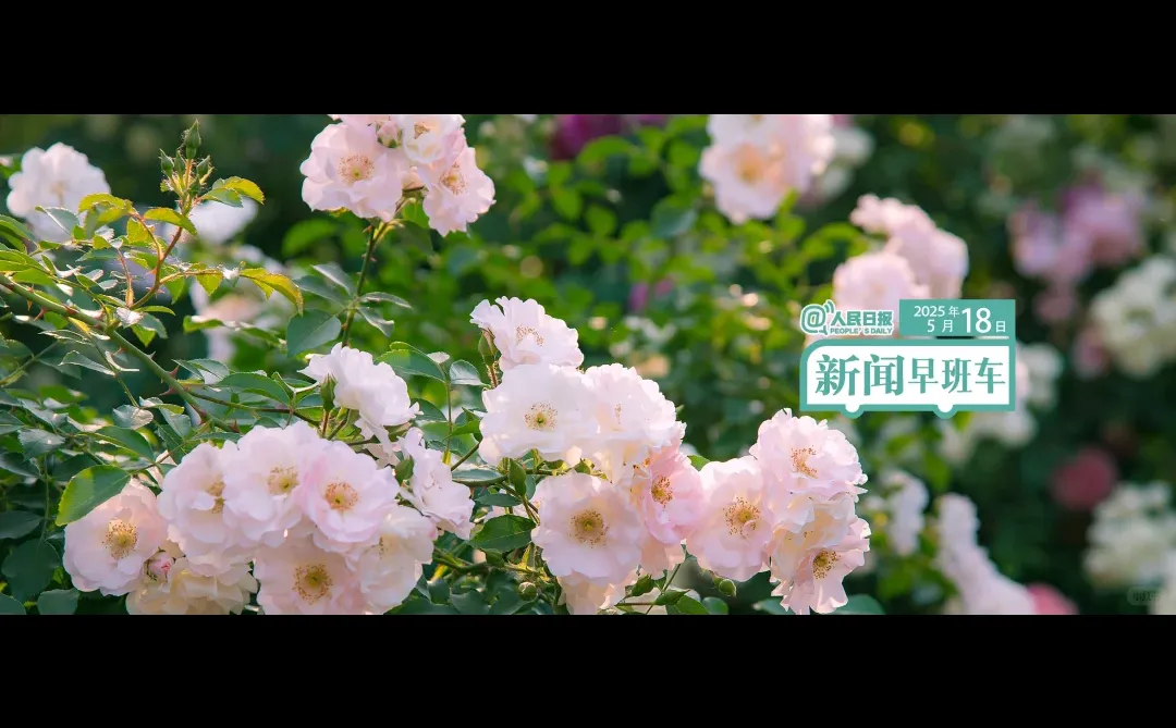 一天一个教育热点——新质生产力