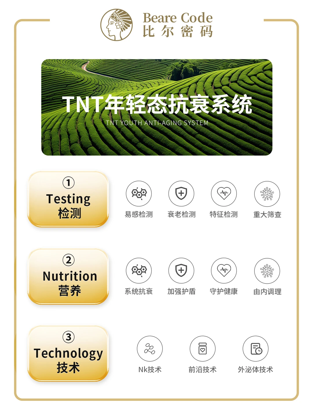 抢占疯狂增长的黄金赛道!