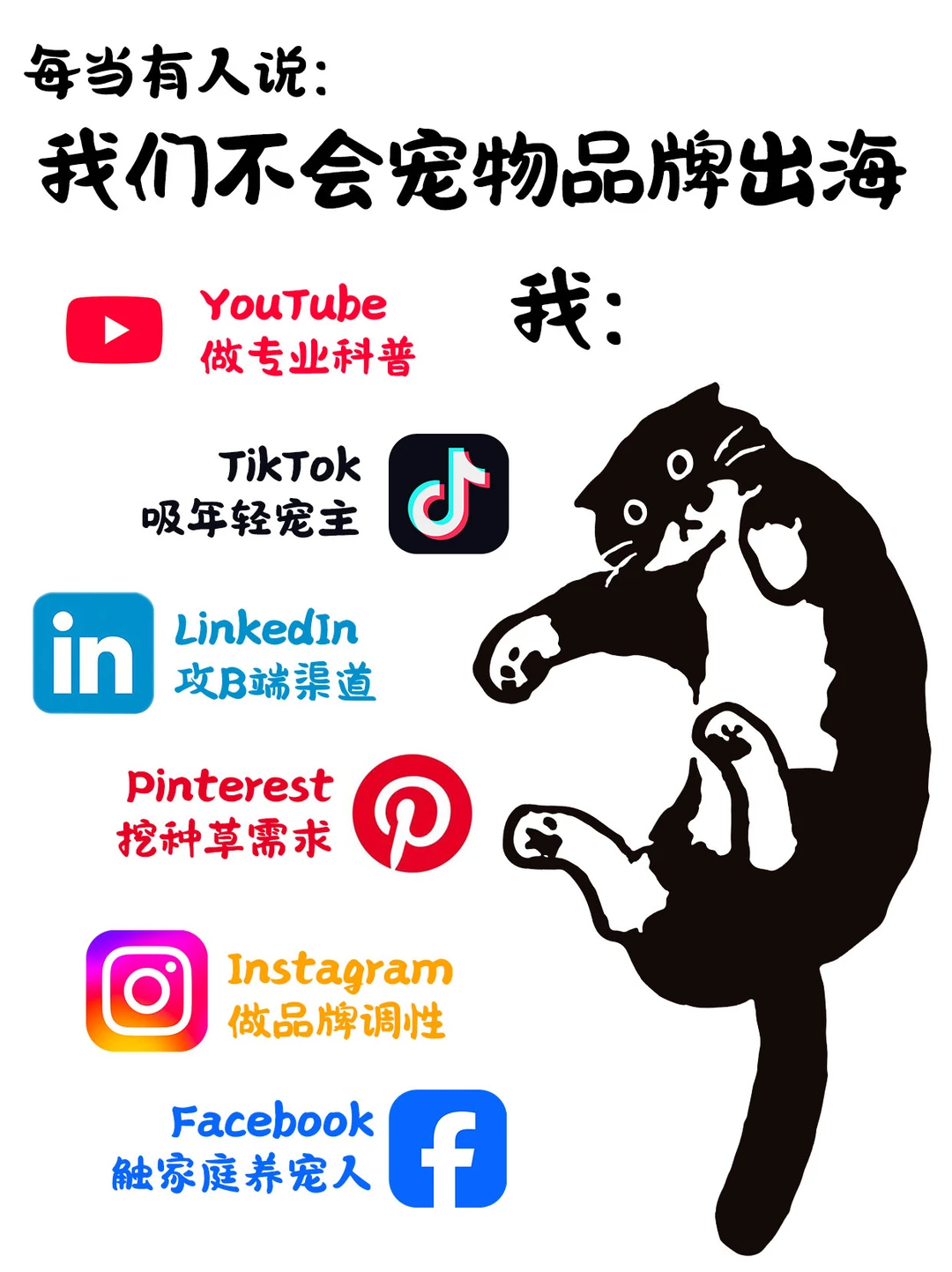 宠物品牌出海别瞎选平台!6大平台分析