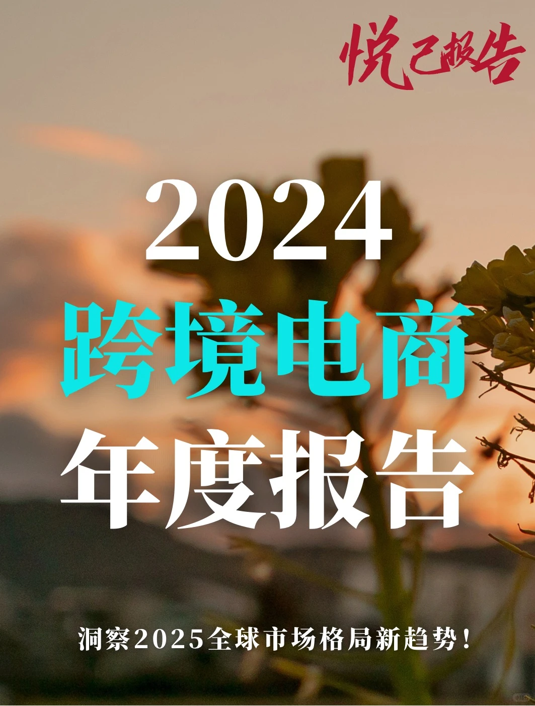全球出海:2024跨境电商行业年度报告