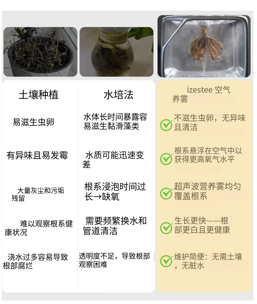 植物雾化培养盒