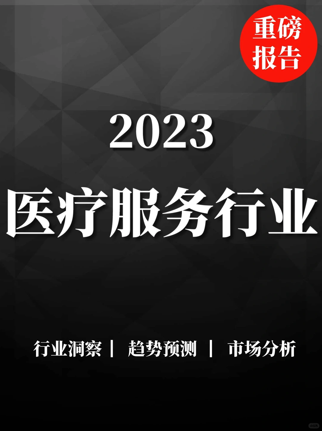 重磅报告|2023年医疗服务行业
