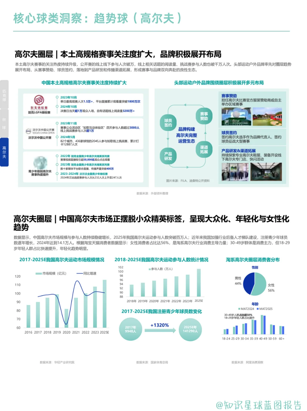 球类消费:2025球类运动装备趋势全解析