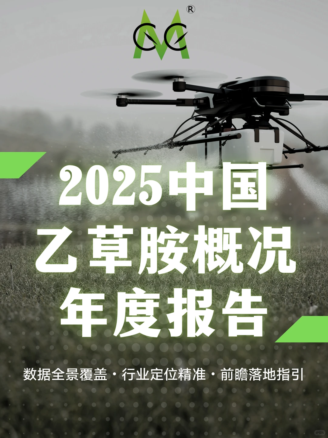 2025中国乙草胺行业报告|数据亮点必看