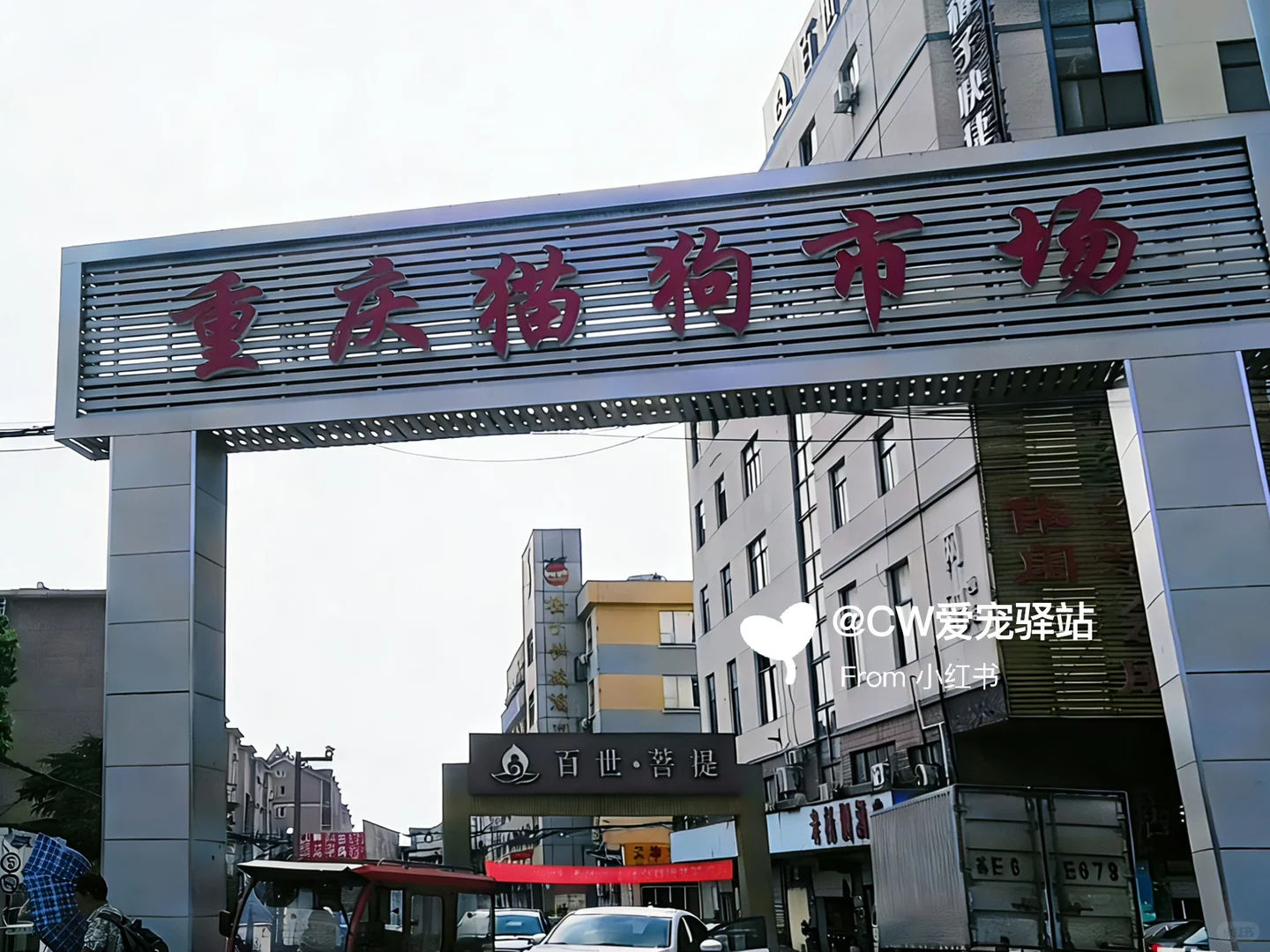 重庆猫狗市场