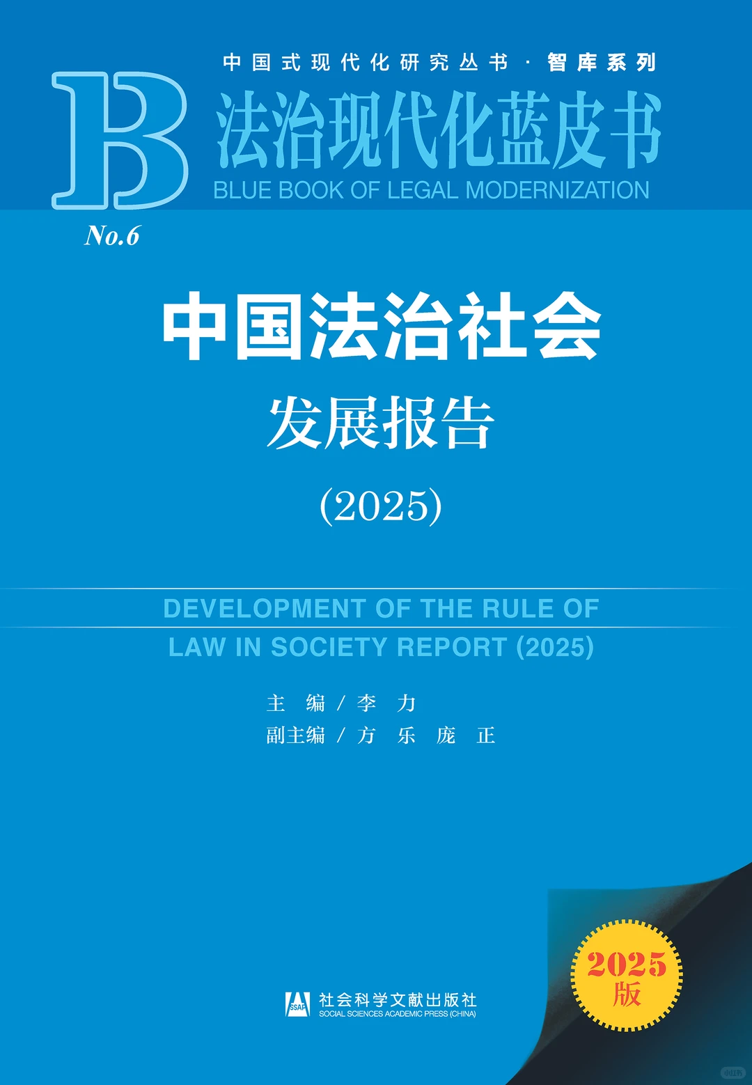 中国法治社会发展报告（2025）