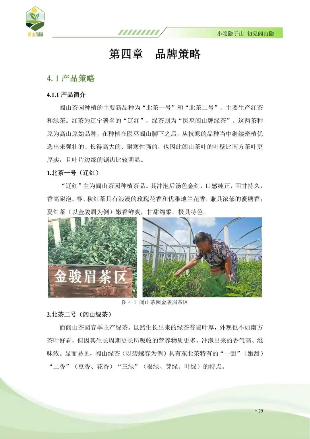 商挑品牌策划项目分享