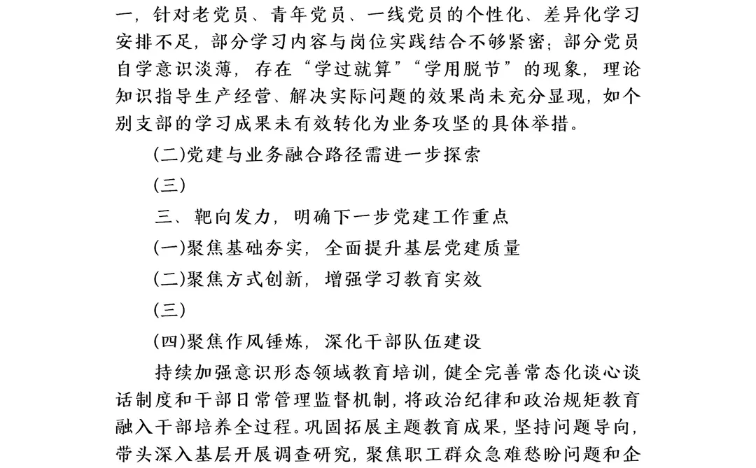 2025年抓党建工述职报（已写完）