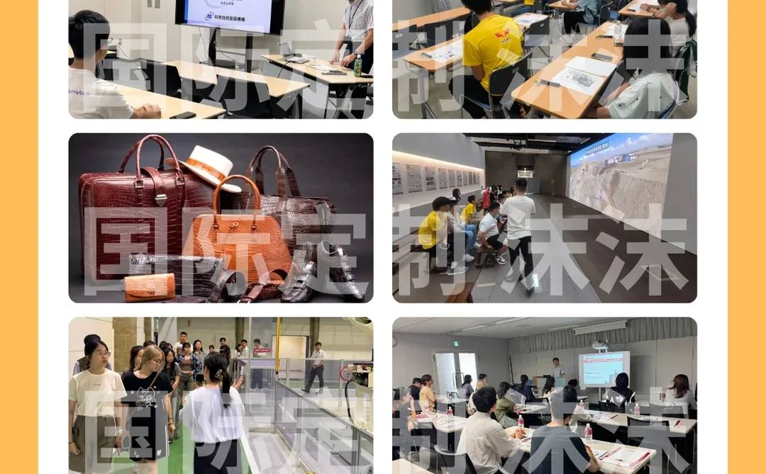 系统化创新启示录:探寻欧洲制造的核心逻辑
