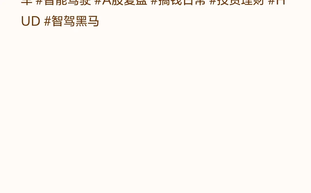 ?华阳集团复盘