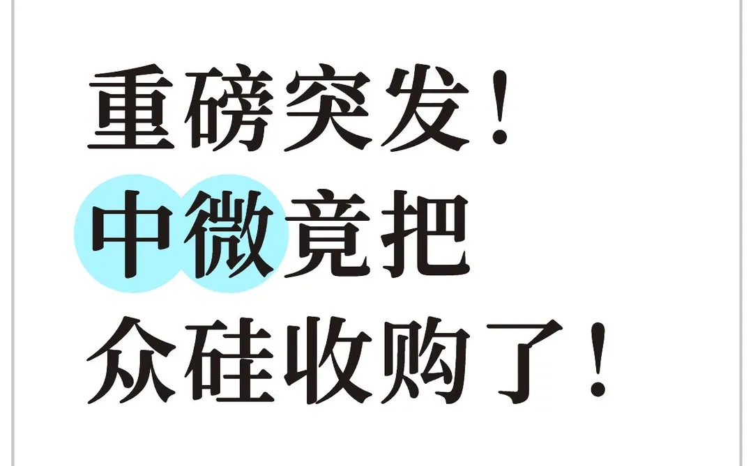 中微收购众硅，国内半导体设备厂商加速洗牌