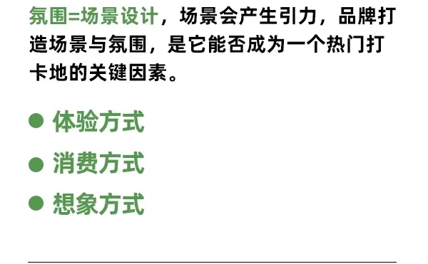 新品牌五感