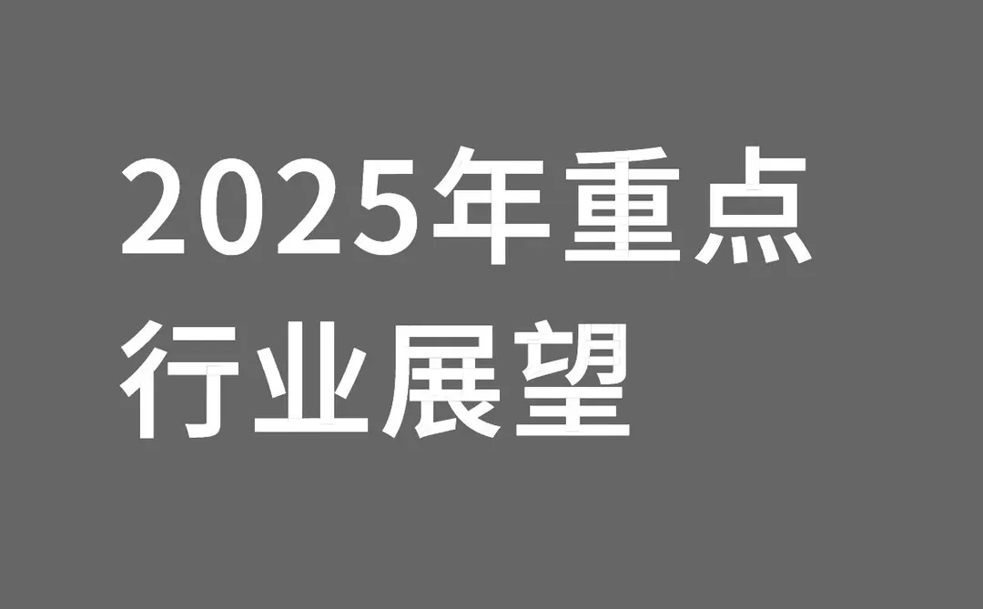 2025年重点行业展望