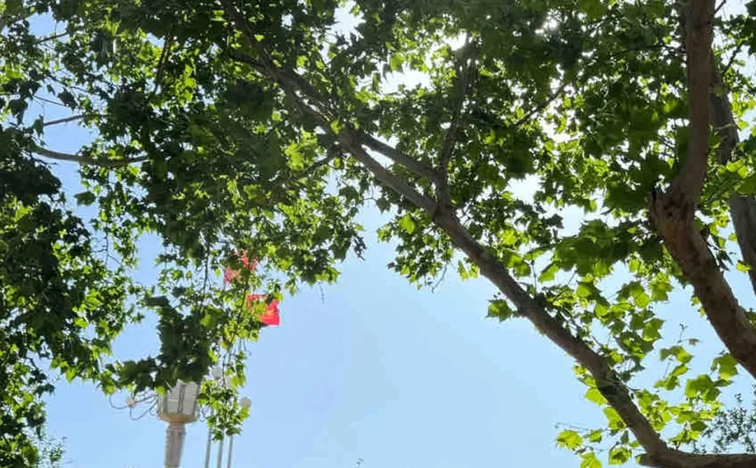 真心建议：山东在职人员去水德州学院的研…