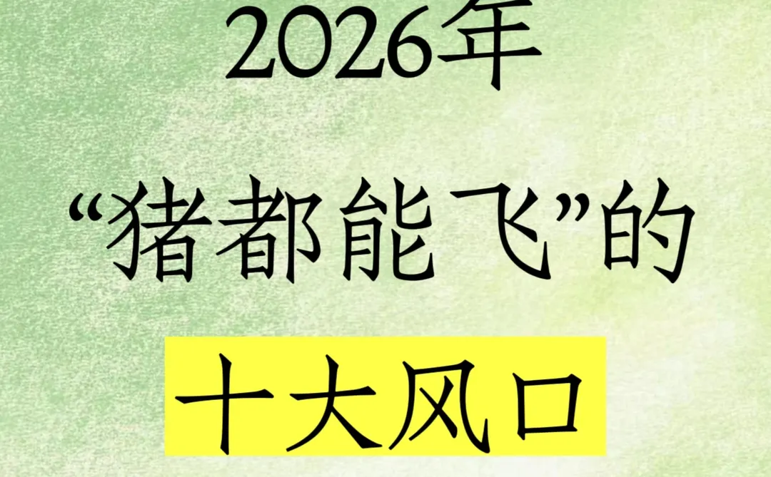 ?2026年“猪都能飞”的十大风口‼️