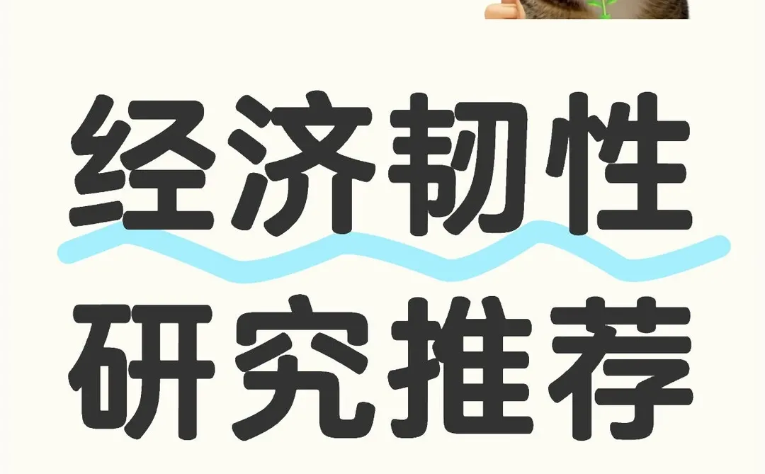 经济韧性研究推荐文献