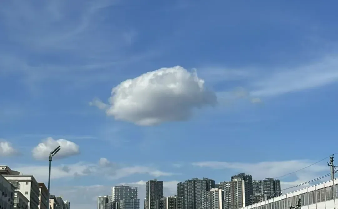 各行各业都说难做，但是优胜劣汰